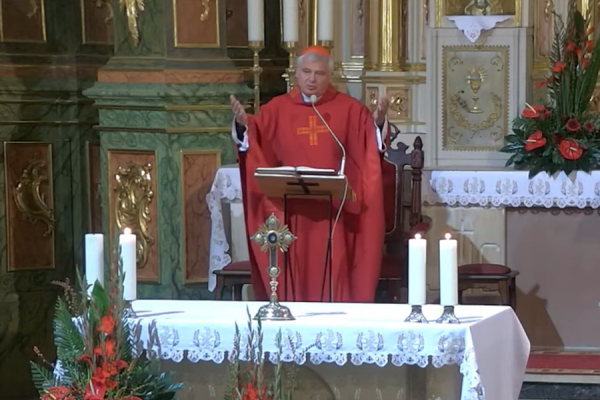 kardynał Konrad krajewski
